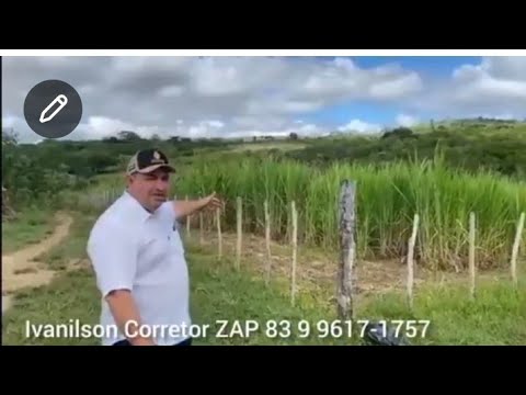 SÍTIO Á VENDA EM MASSARANDUBA PB ZAP 83 9 912563617-1757 IVANILSON CORRETOR