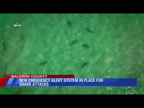 Assault in Dothan, AL