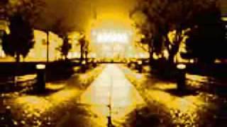 Peter Baumann - Bicentennial Presentation.flv