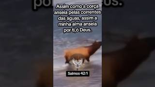 conhecereis a verdade e a verdade te libertará