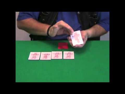 A Perfect Ten by Wild-Colombini - DVD