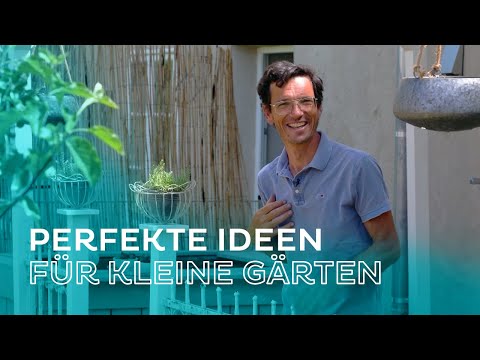 Designing a small apartment garden, OPTIMAL for 🐝bees and 🦋butterflies