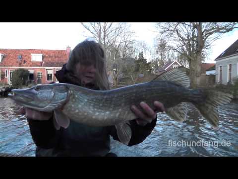 Matze Koch: Pike Bait from the Surf Part 2 - Matze's Antics 01-2015