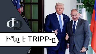 Ի՞նչ է TRIPP - ը ///ԺողովրդիՁայնը