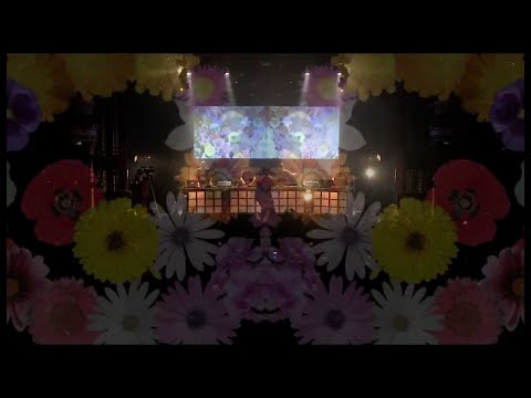 Chinese Man Live - Jumpin in Havana -  Tumi