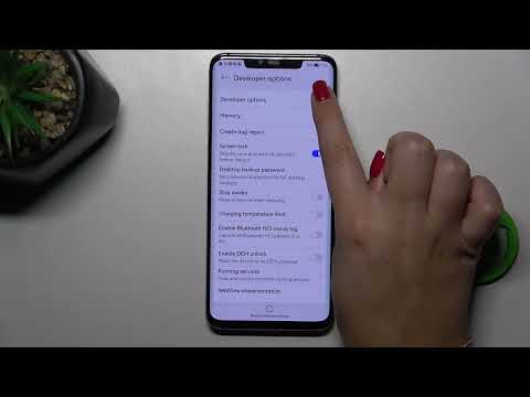 How to Enter Developer Options on HUAWEI Mate 20 Pro – Developer Settings