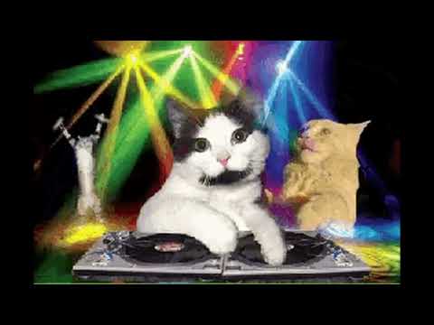 DJ Gyrotta Zao - Winterstylerz [Extended]