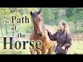 The Path of the Horse - Full Length documentary ...