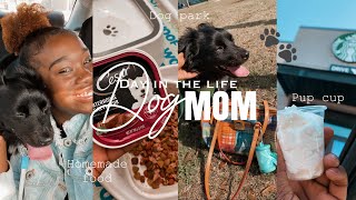 Day in My Life as a Dog Mom | MEET CHARLIE! 🐾 Dog Park fun | at home DOG BATH +Starbucks PUP CUP