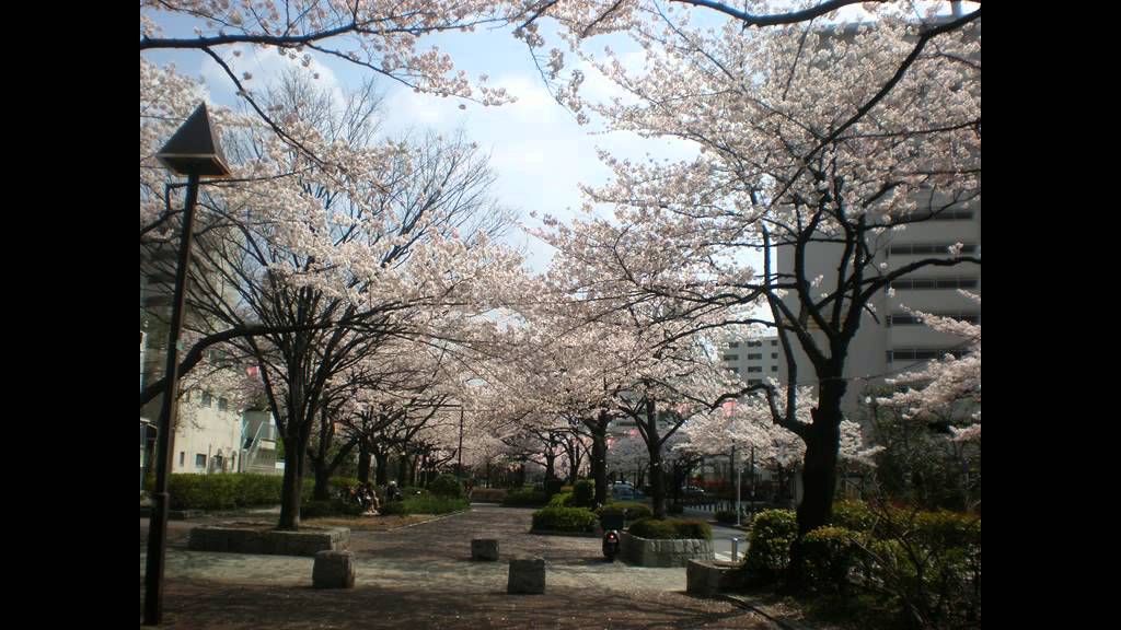 みんなのうた　勇気一つを友にして