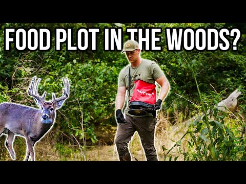 Easiest Way to Create Food Plots in the Woods for Deer