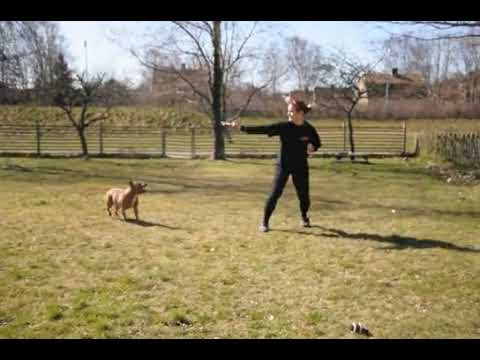 YouTube Preview Image