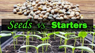 Direct Seeding Vs Starter Plants - A Beginner