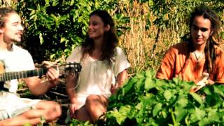 TRILÚMIA - Brasil Pandeiro (Os Novos Baianos cover)