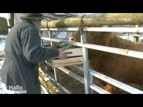 TV-Bericht über Günter und Schmusi