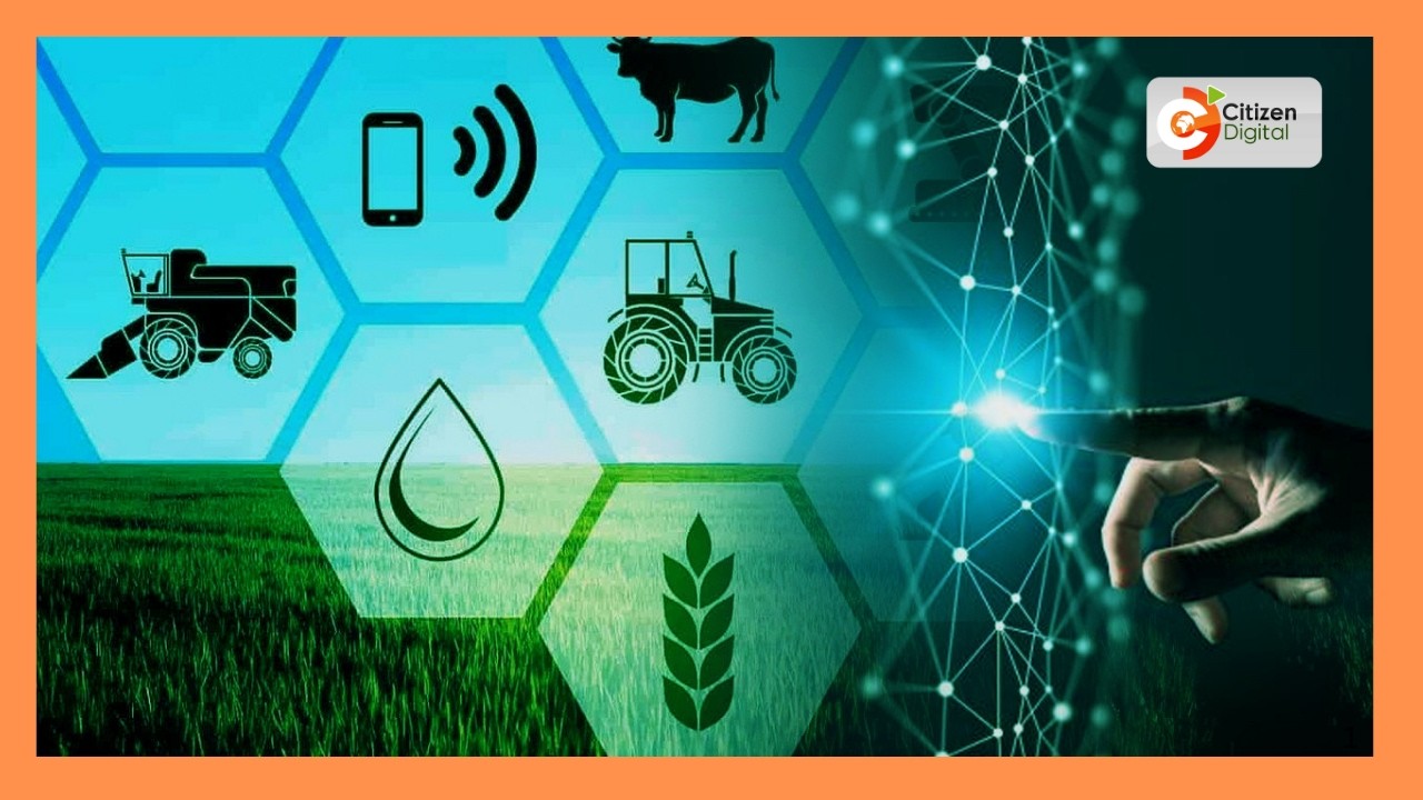 Kenya's Gold — Innovation and Technology in Agriculture