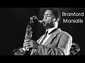 Branford Marsalis Greatest Hits - Branford Marsalis Best of - Branford Marsalis Full Album Live