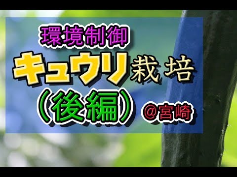 , title : '環境制御のキュウリ農家を徹底分析！【後編】'