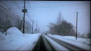 Arc of Doves - Winter Light