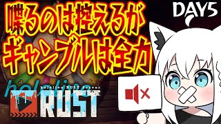 配信スタート/本日はほぼ無言 - 【#holoRUST 】さて、軍資金稼いでいきますか DAY5【白上フブキ/ホロライブ】