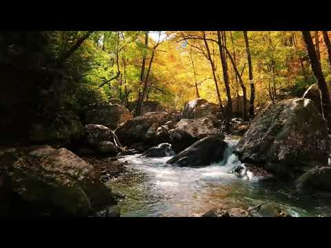 Blago Borisov- When I Was A Dreamer