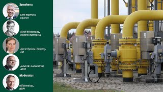 Lunsjseminar: Kan Europa kutte avhengigheten av russisk energi?