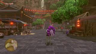 DQ１１をする成人男性