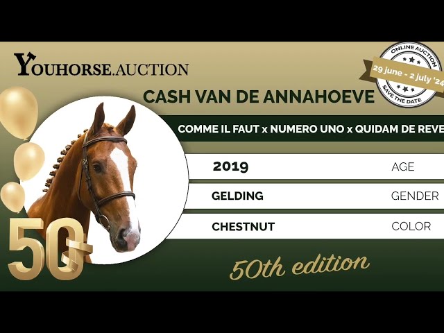Cash van de Annahoeve showvideo