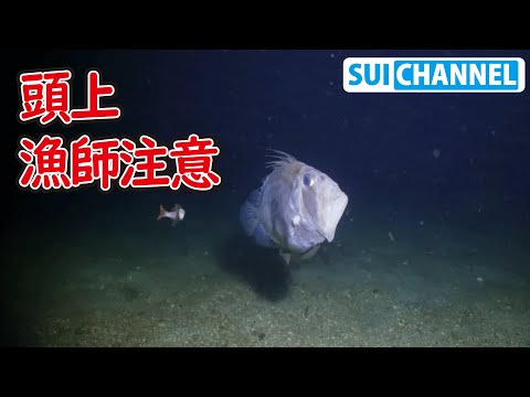 夜の海で - 定義