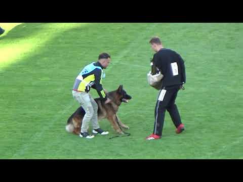 2021 SV BSZS TSB 1035 V1 Wacron del Rione Antico