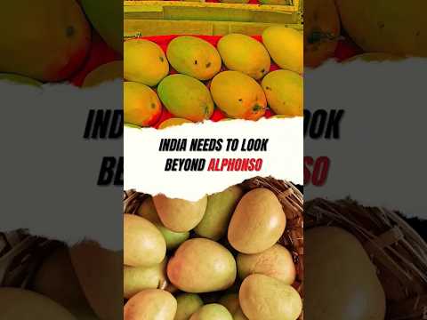 India has much tastier varieties of mangoes than just Alphonso alone