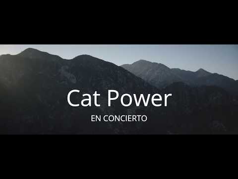 Spot Cat Power Wanderer