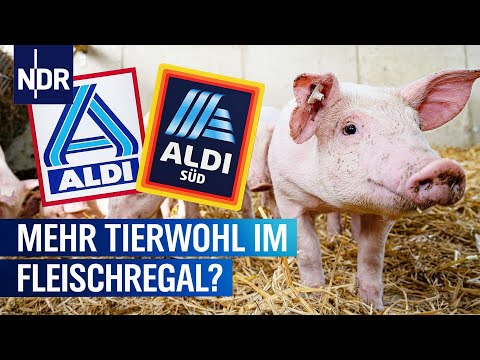 , title : 'ALDI Fleisch: Bessere Haltungsformen in Zukunft? | die RECHERCHE: Inside Aldi | NDR'