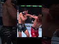 Insane KO From Shara Magomedov Shorts Shortvideo Shortvideo Ufc Sharamagomedov Dubai Ufc308