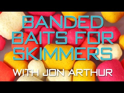 Bite-Size Tips: Banded Baits For Skimmers