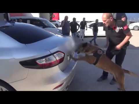 TEM'de polisi peşlerine takmışlardı! Böyle yakalandılar