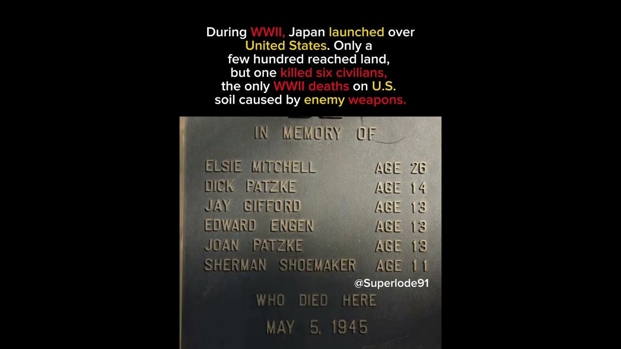 The saddest WWll deaths on USA soil #wigitachi #banku