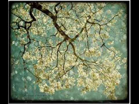 Un cielo de ñanduties - Lizza Bogado y Marco de Brix