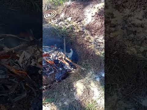 Fuego pacha #pachamama #cañaconruda #holistico #despachodeamor #ceremonia #sanluis #losmolles