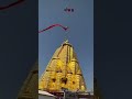 Ambaji Status Jay Ambe Ma Status Ambaji New WhatsApp Status