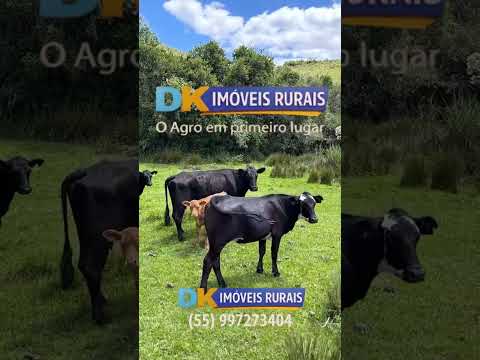 R$ 7,5 MILHÕES POR 725 HECTARES EM PINHEIRO MACHADO!