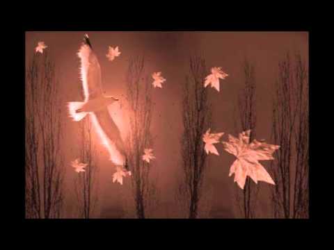 Dejčo - slobodna ptica