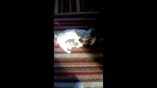 LOVE TO MY DAUGHTER NADINE COYLE  IN LIVERPOOL FROM ALL BACK HOME IN IRELAND