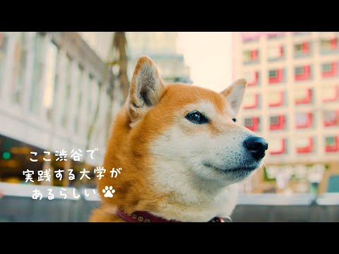 実践栄養学科 大学紹介【渋谷で実践】60秒ver
