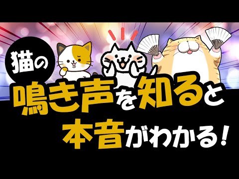 猫の鳴き声 - 11の猫の鳴き声とその意味