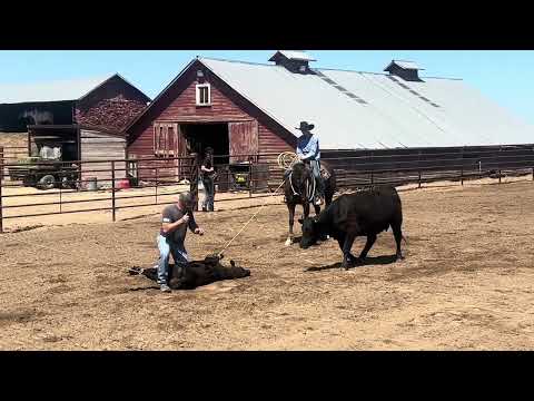 youtube preview