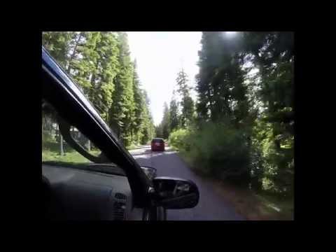 download lagu mp3 mp4 Young Peoples Theater Project, download mp3 Young Peoples Theater Project free download, download mp3 Young Peoples Theater Project