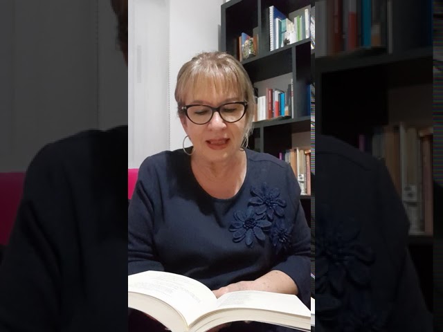 Vídeo relacionado con 13 perros (Exit)