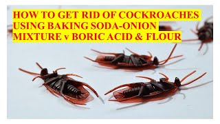 How To Get Rid of Cockroaches Using Baking Soda and Onion Mixture v Boric Acid  and Flour.