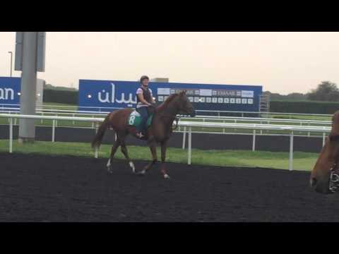 More of Empoli after exercise